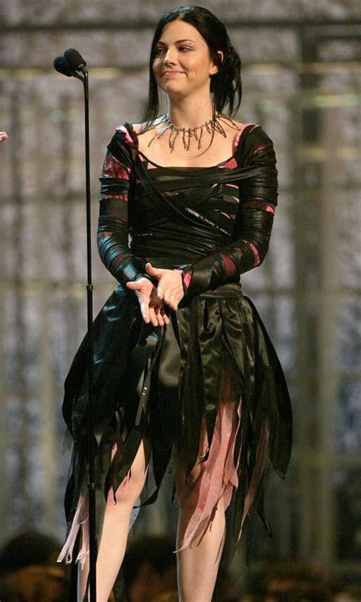 Amy Lee Gives Birth