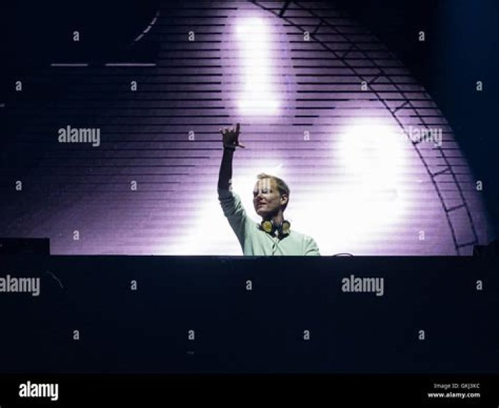 Avicii performs live