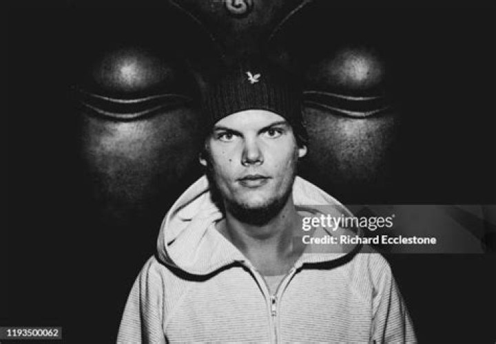 Avicii portrait