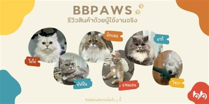 Bbpaws Bbpaws