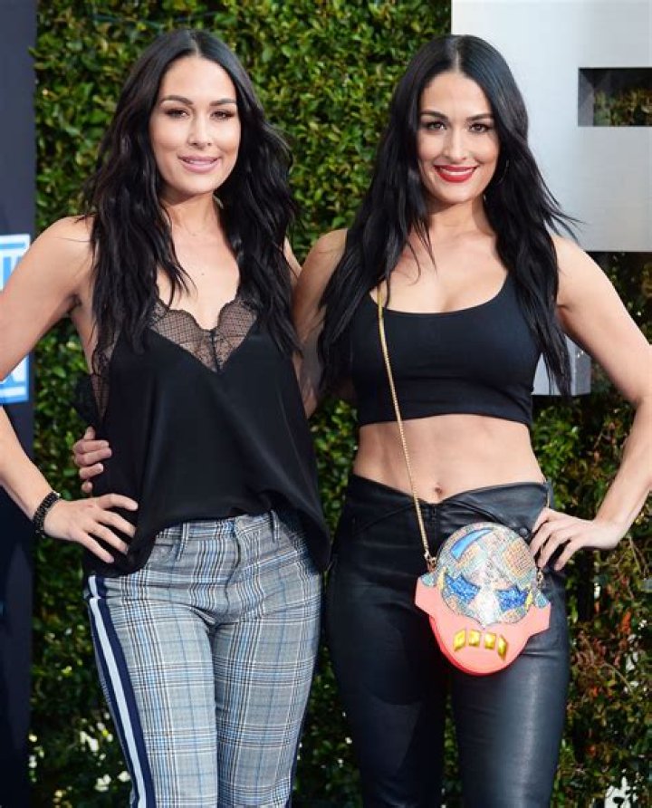 Brie Bella and Nikki Bella