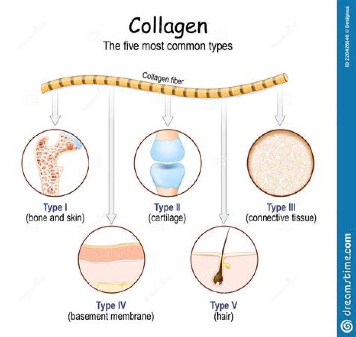 collagen
