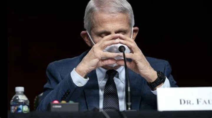 Dr. Fauci