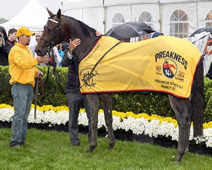Exaggerator 2