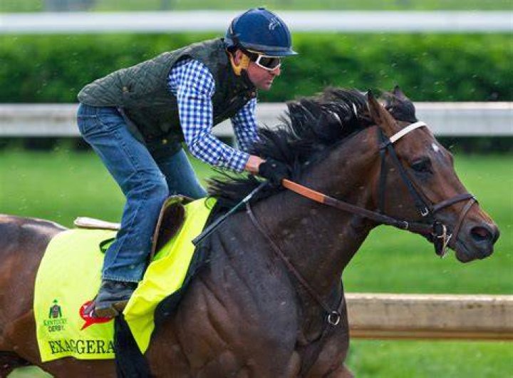 Exaggerator 4
