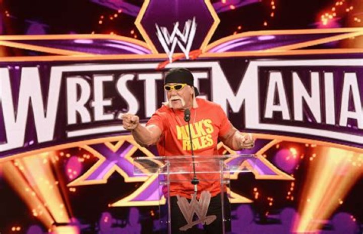 Hulk Hogan Wrestlemania 30 press conference, New York, America - 01 Apr 2014