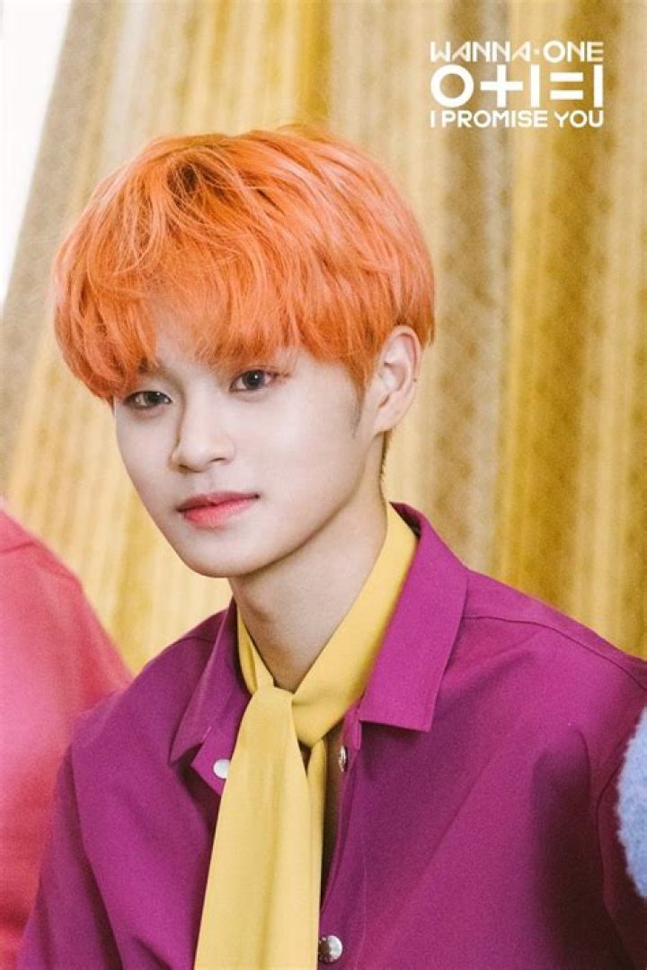 Lee Daehwi With Wanna One Members