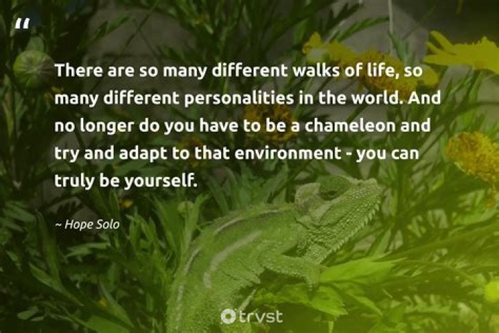 On Being A Chameleon