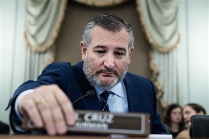 Ted Cruz at a hearing