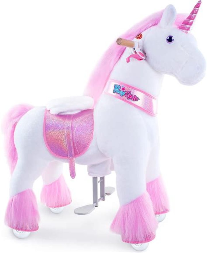 Unicorn Ponycycle