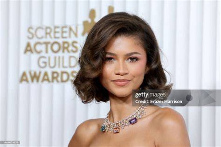 Zendaya 29th Annual Screen Actors Guild Awards, Arrivals, Los Angeles, California, USA - 26 Feb 2023